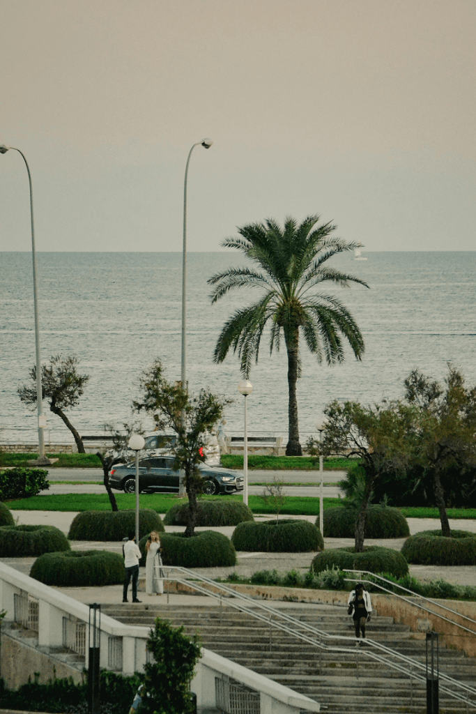 Pexels lauti arcal 743774404 18686701 683x1024