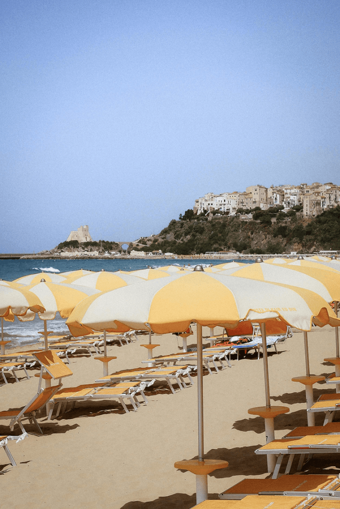 Pexels nati 87264186 32573408 683x1024